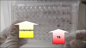 colorimetrictests